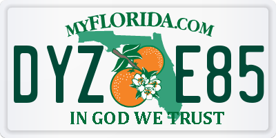 FL license plate DYZE85