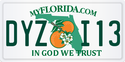 FL license plate DYZI13