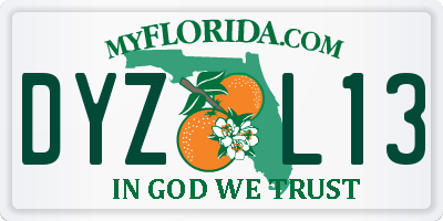 FL license plate DYZL13