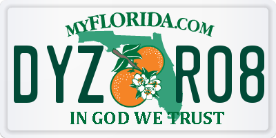 FL license plate DYZR08
