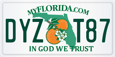 FL license plate DYZT87