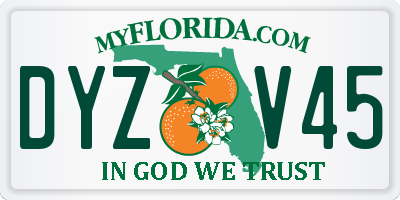 FL license plate DYZV45