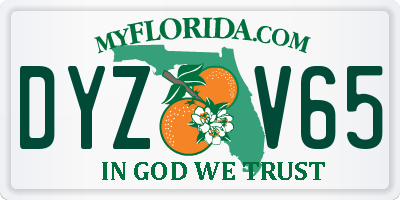 FL license plate DYZV65