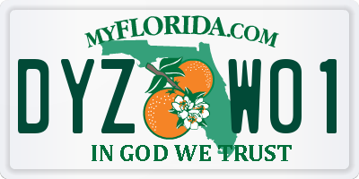 FL license plate DYZW01