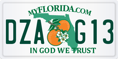 FL license plate DZAG13