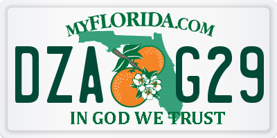 FL license plate DZAG29