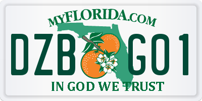FL license plate DZBG01