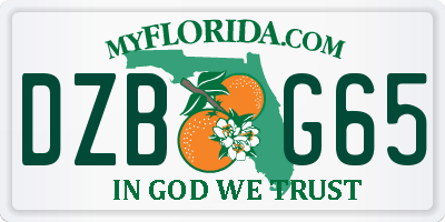 FL license plate DZBG65