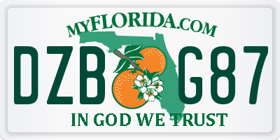 FL license plate DZBG87