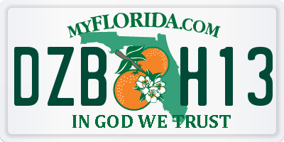 FL license plate DZBH13