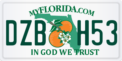 FL license plate DZBH53
