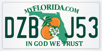 FL license plate DZBJ53