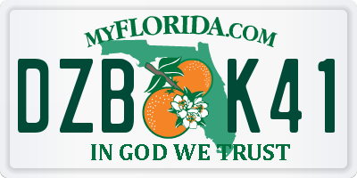FL license plate DZBK41