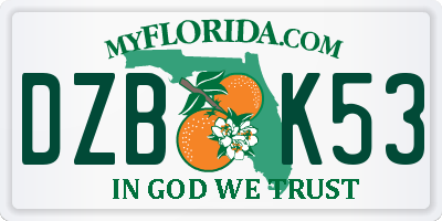 FL license plate DZBK53