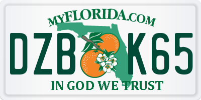 FL license plate DZBK65
