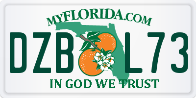 FL license plate DZBL73