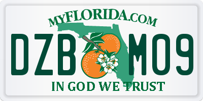 FL license plate DZBM09