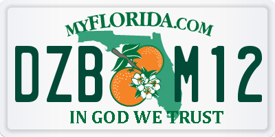 FL license plate DZBM12
