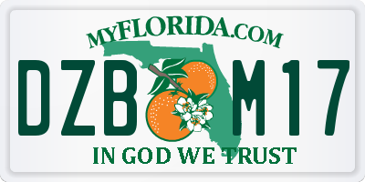 FL license plate DZBM17