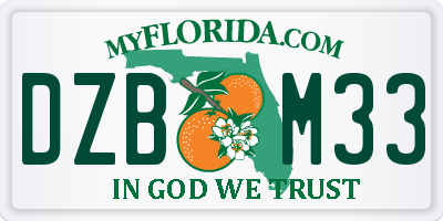 FL license plate DZBM33