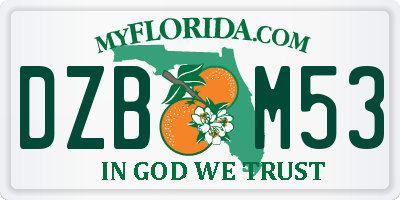 FL license plate DZBM53