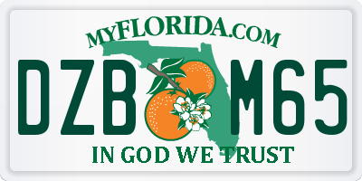 FL license plate DZBM65