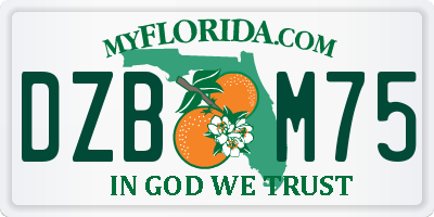 FL license plate DZBM75