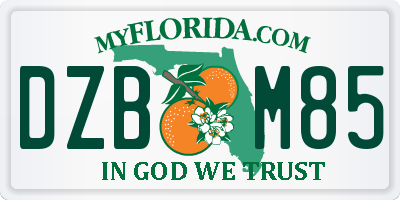 FL license plate DZBM85