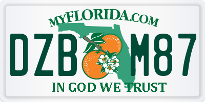 FL license plate DZBM87