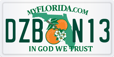 FL license plate DZBN13