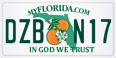 FL license plate DZBN17
