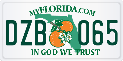 FL license plate DZBO65