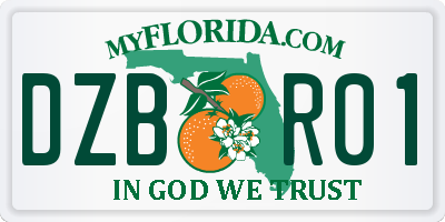 FL license plate DZBR01