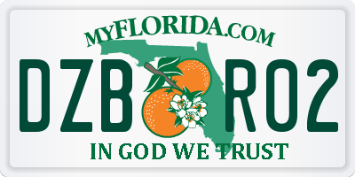 FL license plate DZBR02