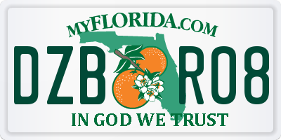 FL license plate DZBR08