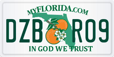 FL license plate DZBR09