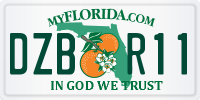 FL license plate DZBR11