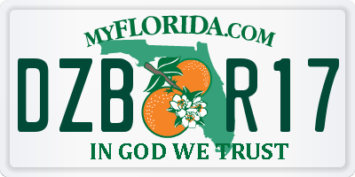 FL license plate DZBR17