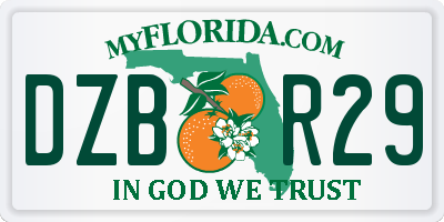FL license plate DZBR29