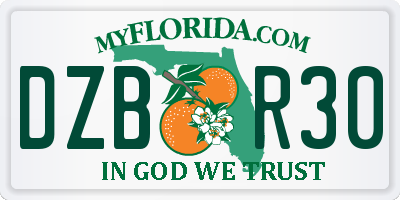 FL license plate DZBR30