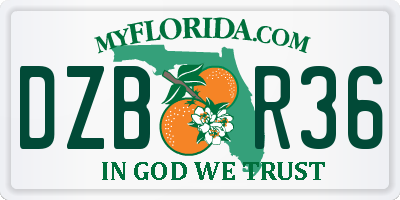 FL license plate DZBR36
