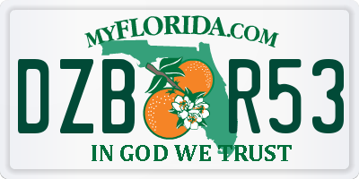 FL license plate DZBR53