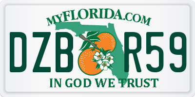 FL license plate DZBR59