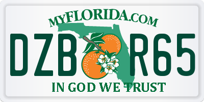 FL license plate DZBR65