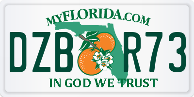 FL license plate DZBR73