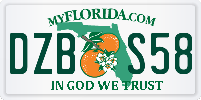 FL license plate DZBS58