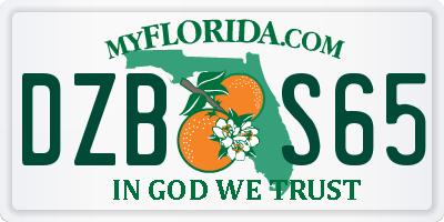 FL license plate DZBS65