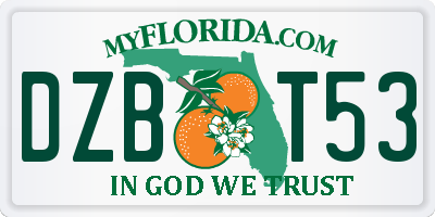 FL license plate DZBT53