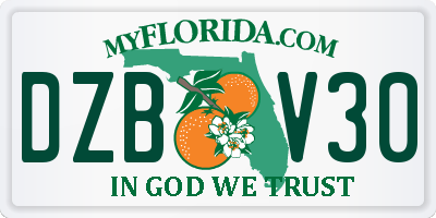 FL license plate DZBV30