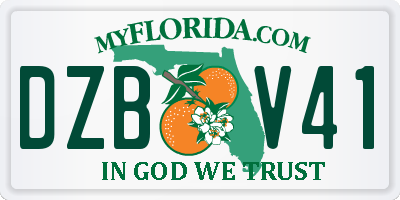 FL license plate DZBV41